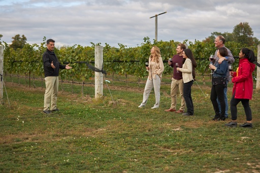 Tour and Wine Tasting Chocolate and Cheese Pairings 11am Saturday and Sunday