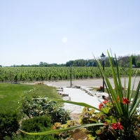Front-Landscape