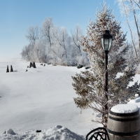 Winter Scene