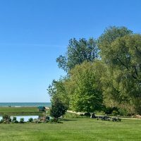 grounds