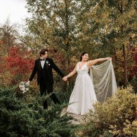 Fall Favourites
