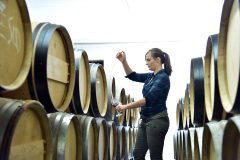 Wine Making