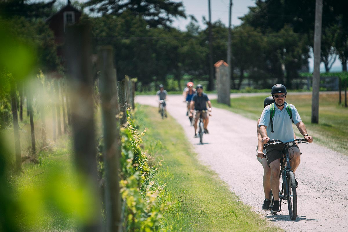 Winery Bike Tour