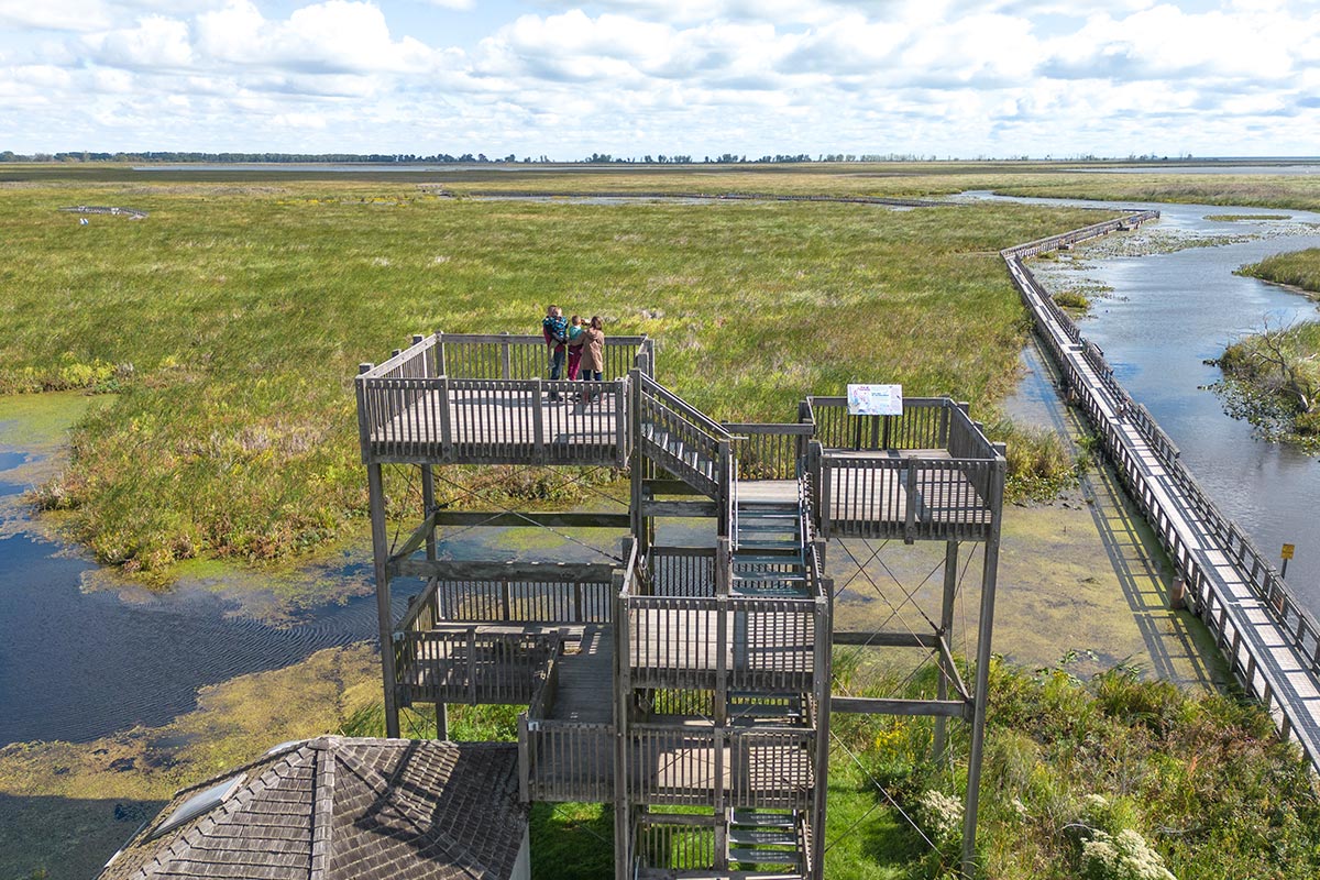 Point Pelee