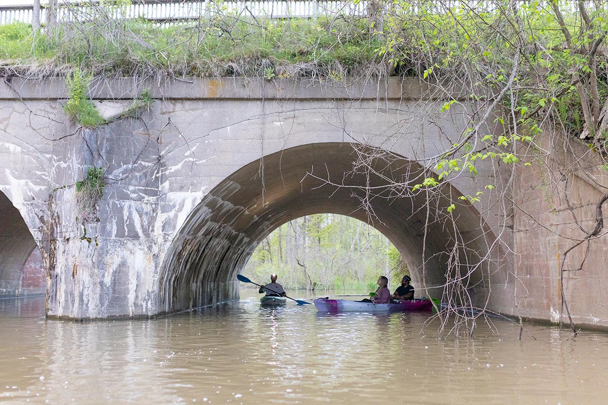 Cedar Creek