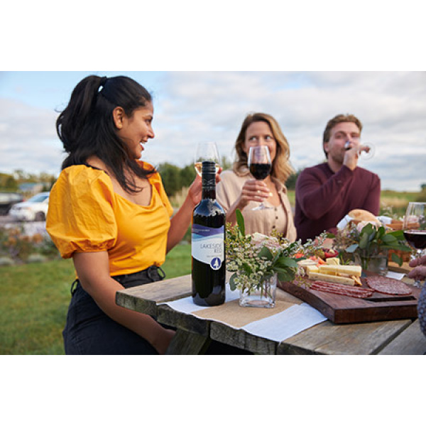 Couple enjoying wine