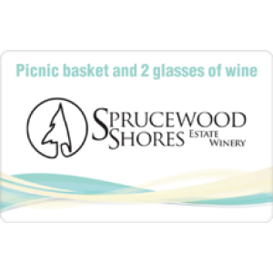 Gift Card Picnic Basket Lunch and 2 Glasses of Wine